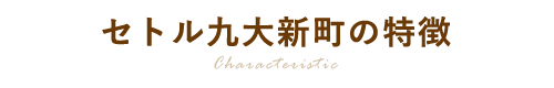 セトル九大新町の特徴