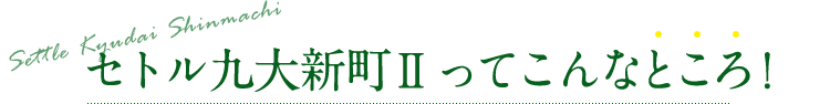 セトル九大新町IIってこんなところ！