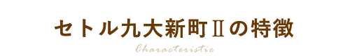 セトル九大新町IIの特徴